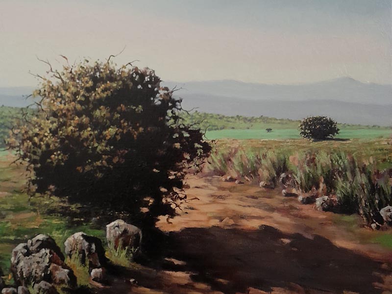 La luz de Extremadura